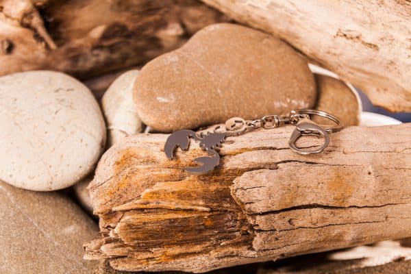 Portachiavi a forma di scorpione su legno e sassi di spiaggia